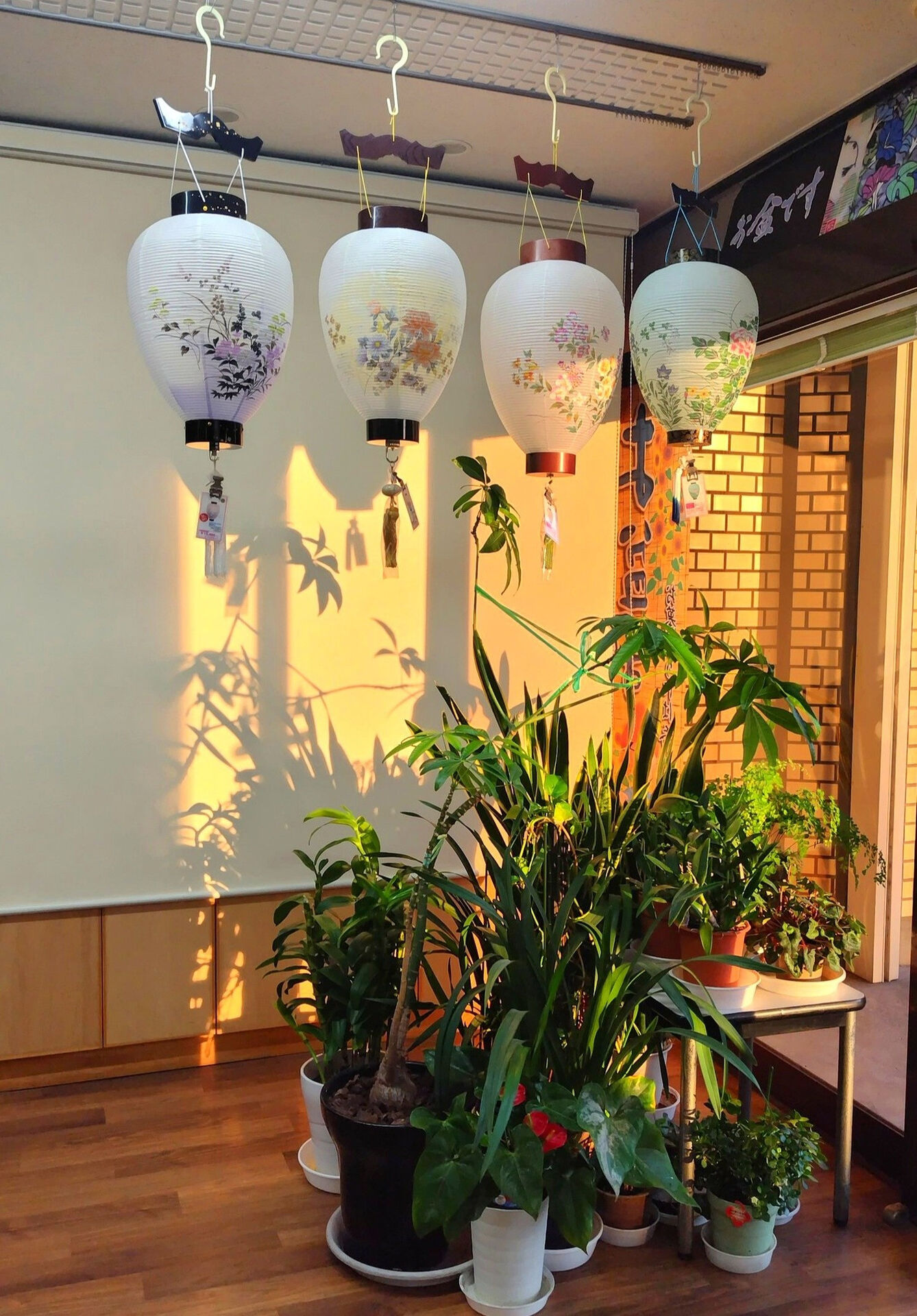 観葉植物と盆提灯のコラボシルエット