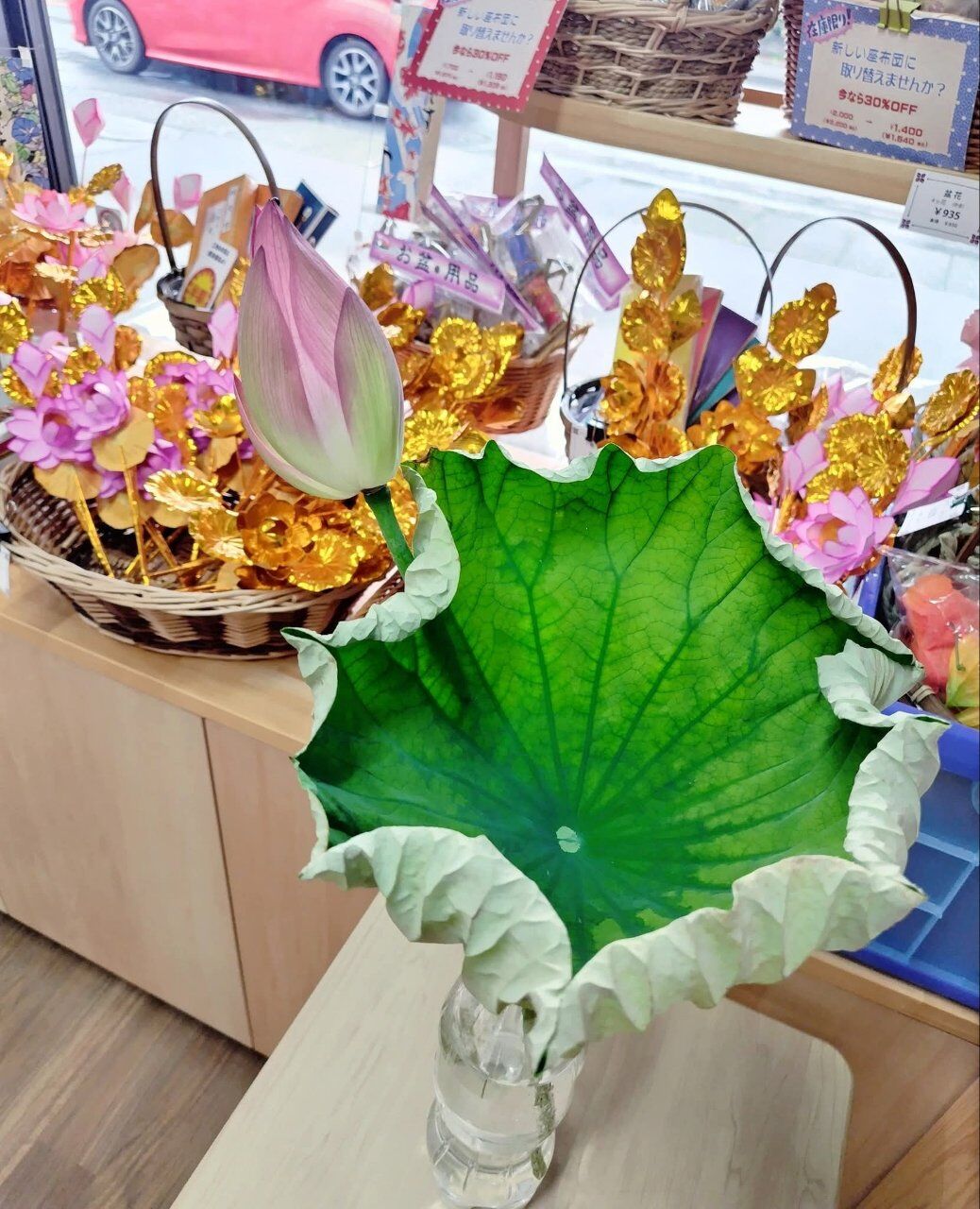 近所の親しい方から蓮の花をいただきました