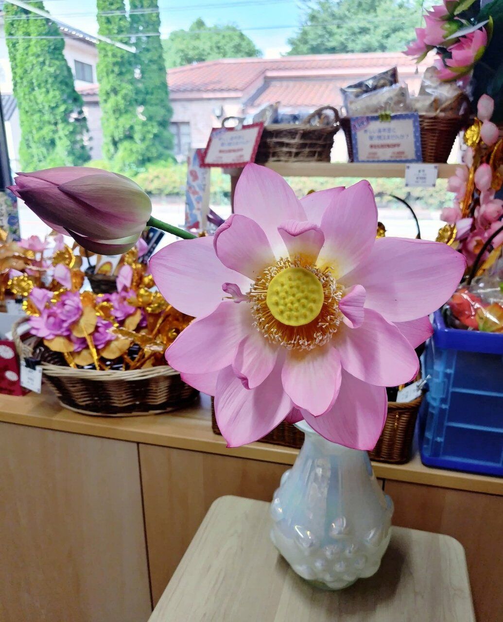 親しい方から蓮の花をいただきました