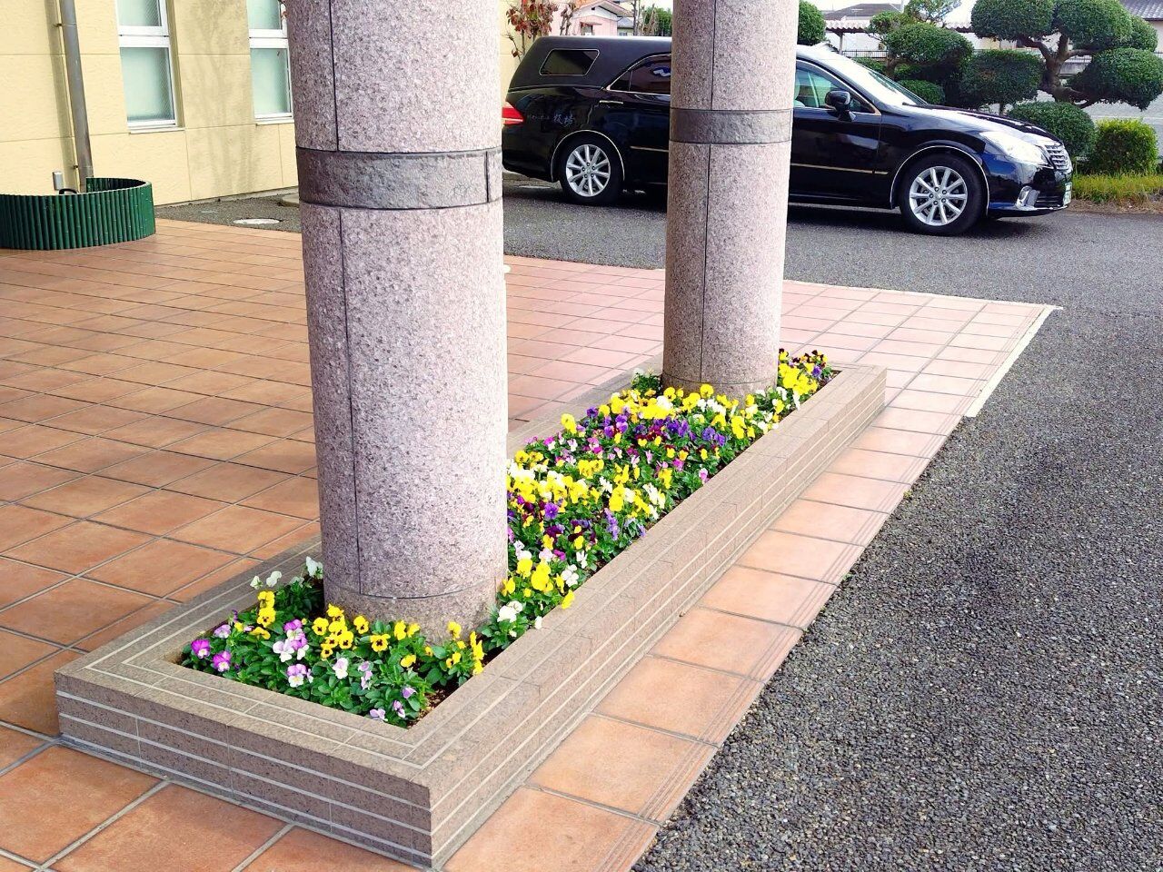 風に揺らめくパンジーに癒されます