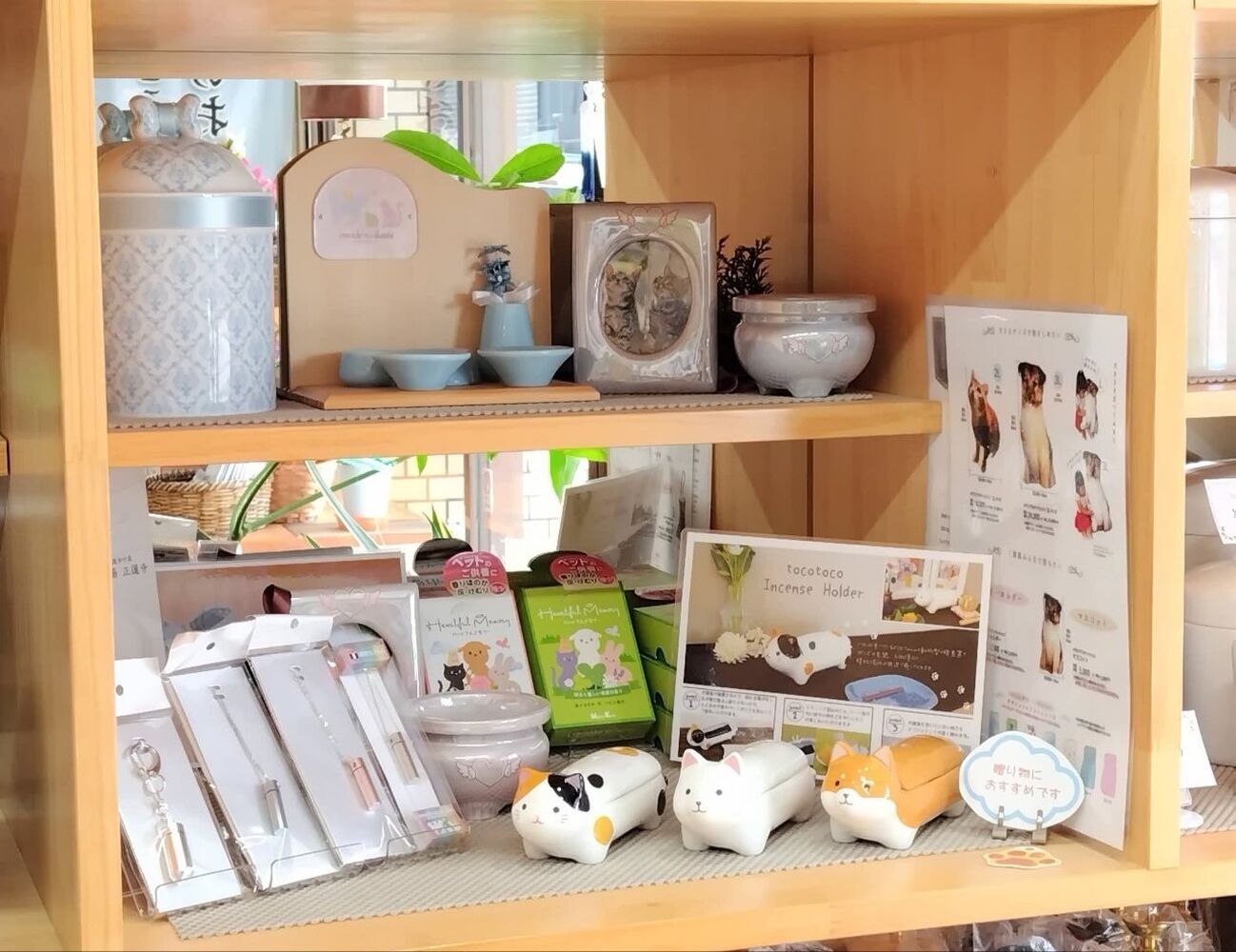 画像3016