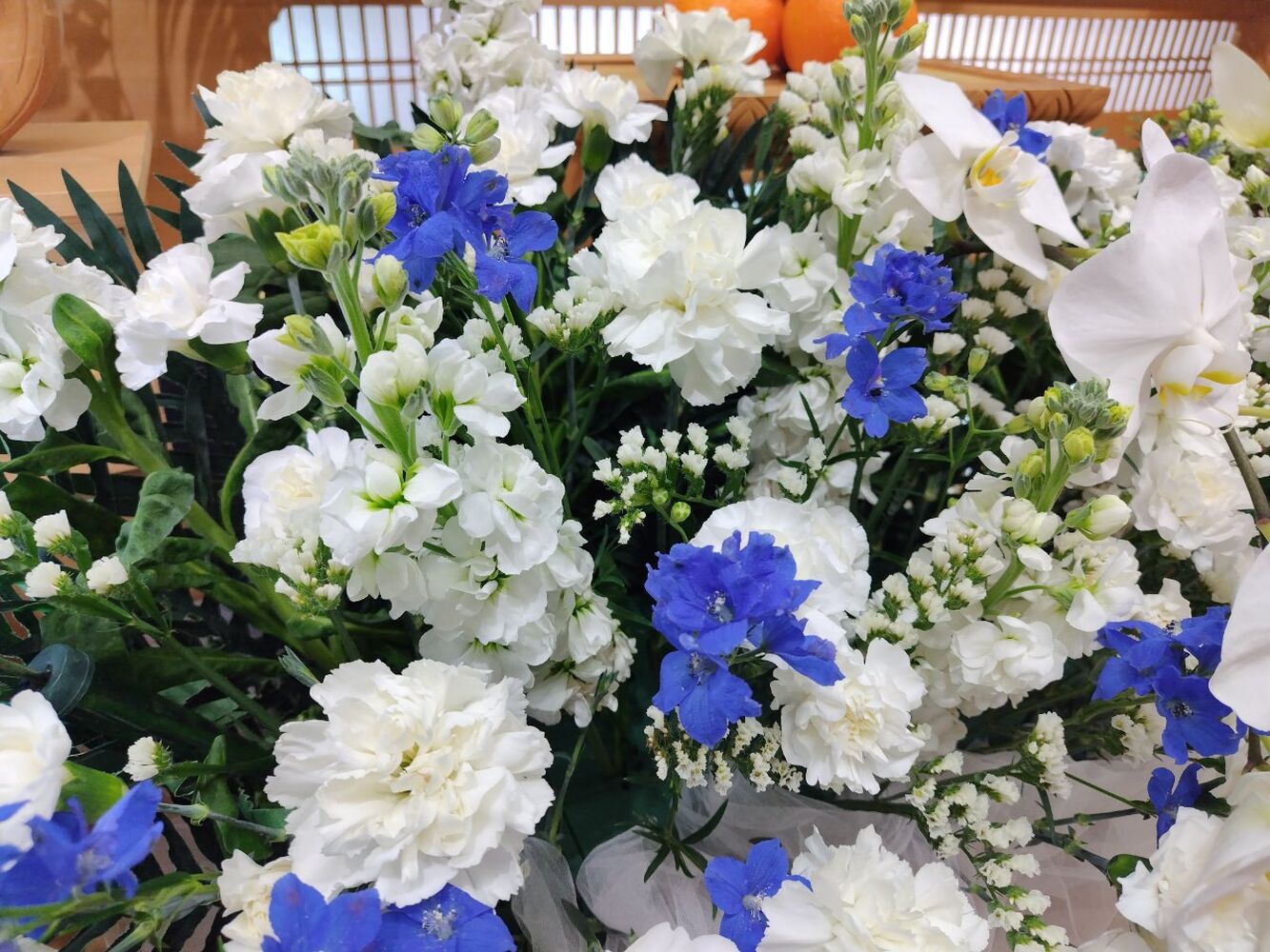 画像3249