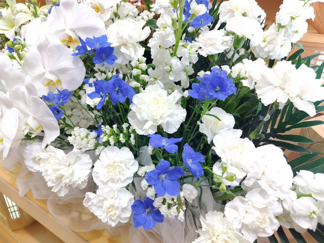 画像3459
