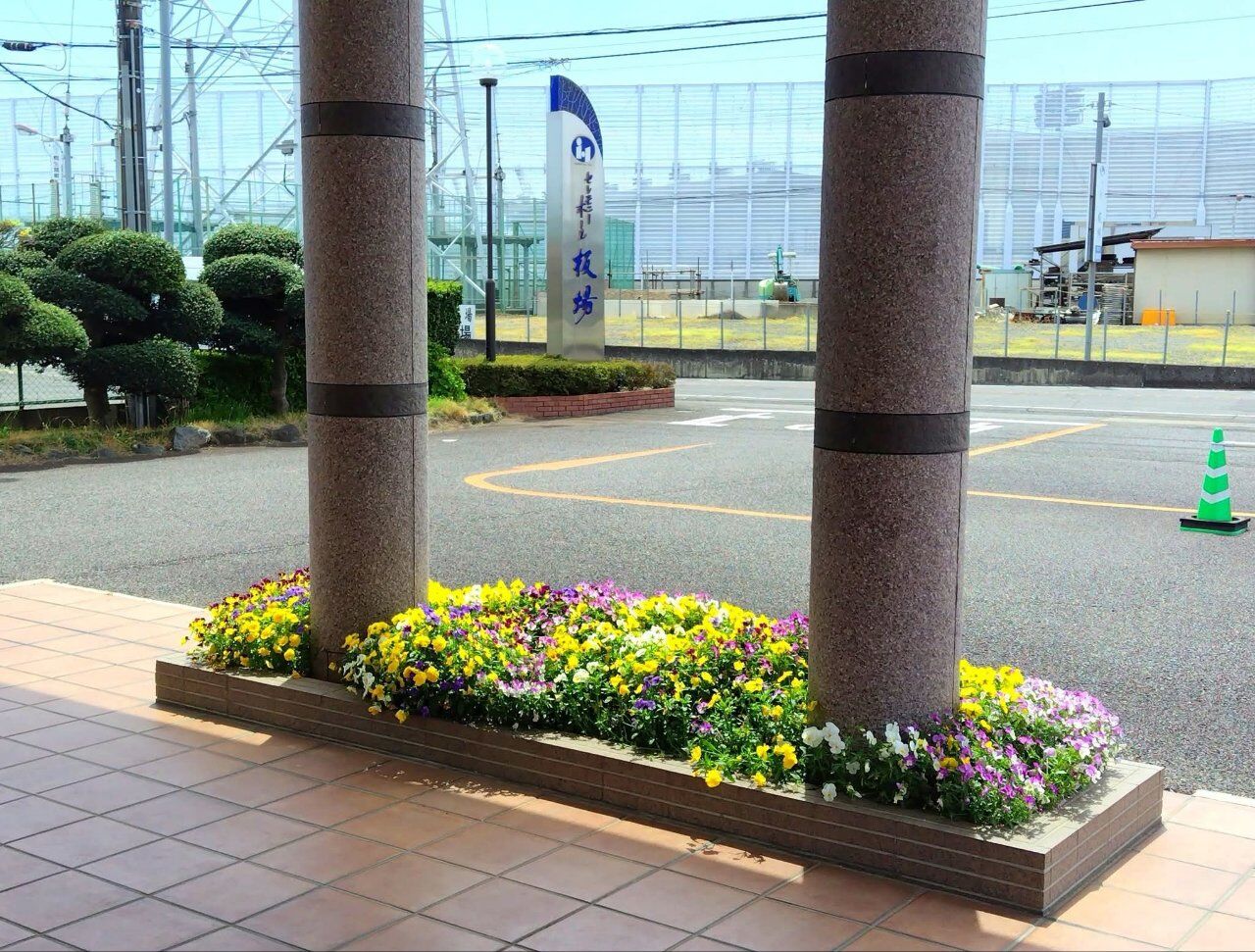 花壇のお花に癒されて