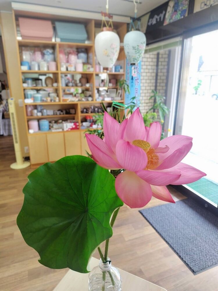 画像4113