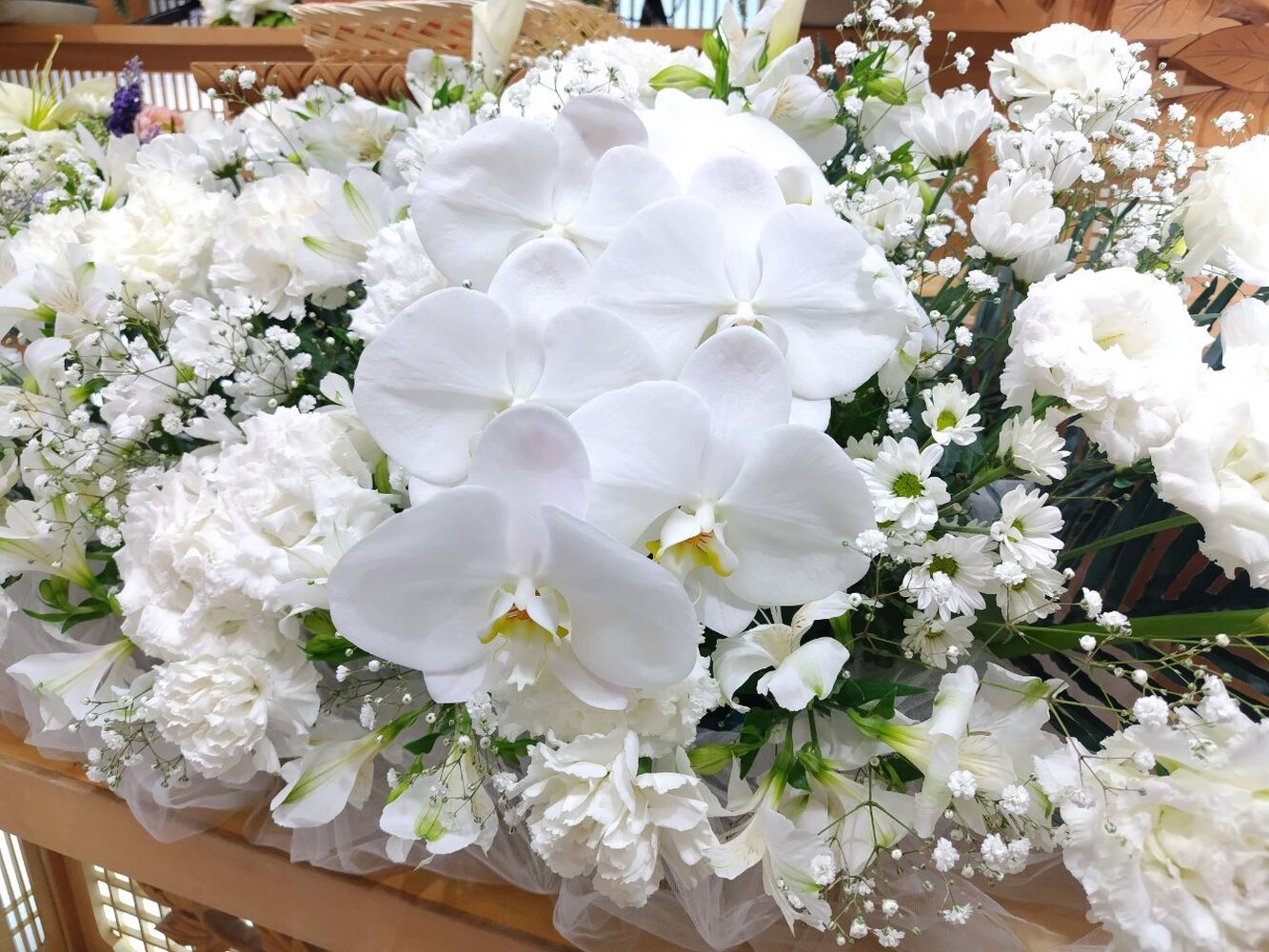 画像4271