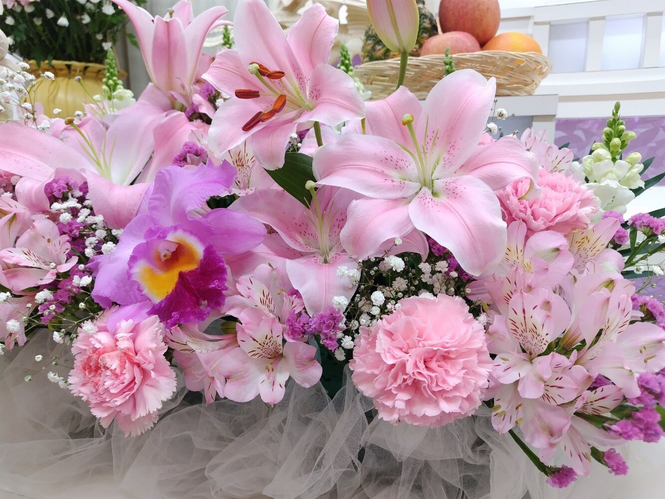 画像4514