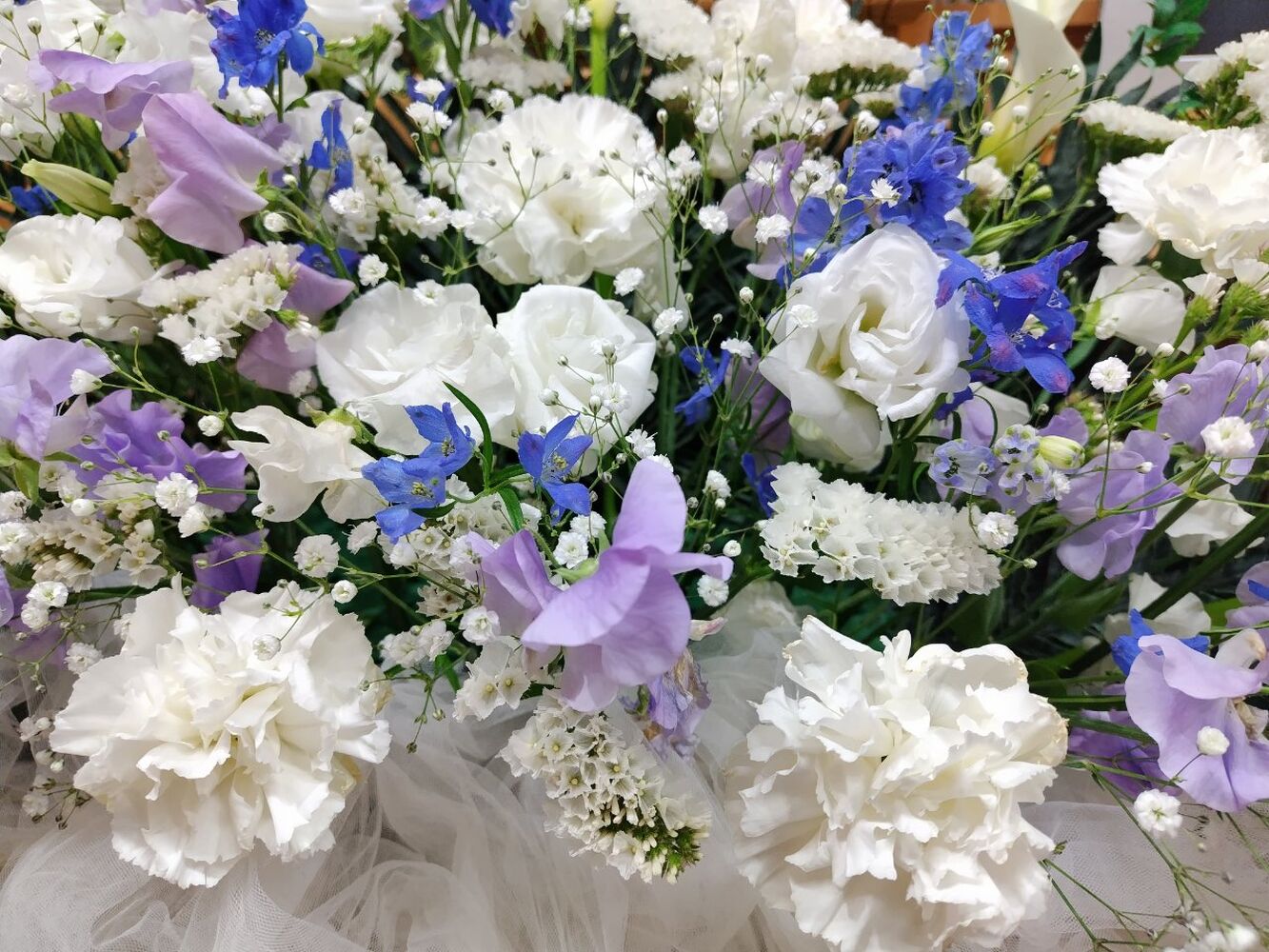 画像4809